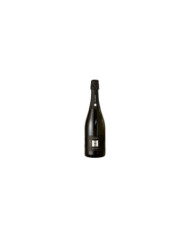 Large Formats  Franciacorta DOCG Saten Docg Magnum - Enrico Gatti 59,40 €