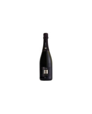 Sparkling Wines  Franciacorta DOCG Saten 2018 - Enrico Gatti 29,70 €