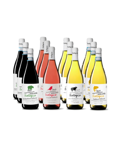 Rode wijnen  Degustazione Biologico Sostenibile Tollo 12 Bottiglie - Cantina Tollo 59,34 â‚¬ Rode wijnen  Degustazione Biologico Sostenibile Tollo 12 Bottiglie - Cantina Tollo 59,34 â‚¬