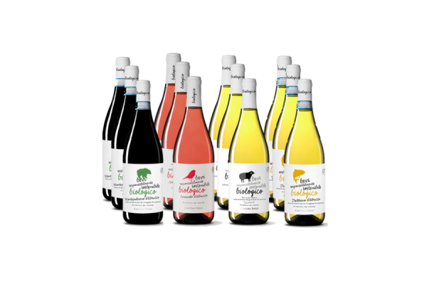 Vini Rossi  Degustazione Biologico Sostenibile Tollo 12 Bottiglie - Cantina Tollo 59,34&nbsp;€