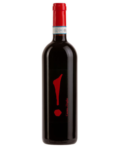 Rode wijnen  Piemonte Merlot DOC - Gianni Doglia 26,20 €