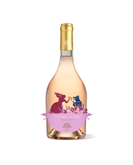 White wines  Cinque Lustri Irpinia Rosato D.O.P. 2021 – Nativ 17,20 €