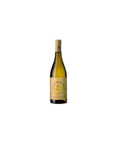 Witte Wijnen  Trebbiano d'Abruzzo Classico Doc Biologico 2022 - Jasci & Marchesani 6,80 â‚¬ Witte Wijnen  Trebbiano d'Abruzzo Classico Doc Biologico 2022 - Jasci & Marchesani 6,80 â‚¬