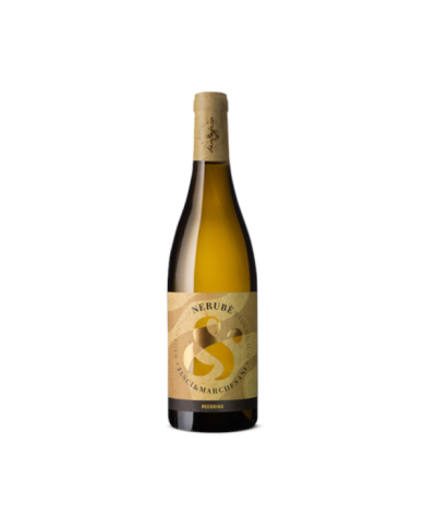 Witte Wijnen  Nerubè Pecorino d'Abruzzo Doc 2022 - Jasci & Marchesani 11,63 â‚¬ Witte Wijnen  Nerubè Pecorino d'Abruzzo Doc 2022 - Jasci & Marchesani 11,63 â‚¬
