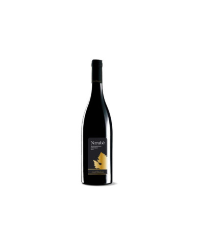 Rode wijnen  Nerubè Montepulciano d'Abruzzo Doc 2020 Biologico - Jasci & Marchesani 10,50 â‚¬ Rode wijnen  Nerubè Montepulciano d'Abruzzo Doc 2020 Biologico - Jasci & Marchesani 10,50 â‚¬