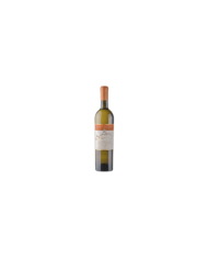 Witte Wijnen  Volo D’Autunno Verdicchio dei Castelli di Jesi Classico DOC Superiore 2019 - Marotti Campi 13,20 €