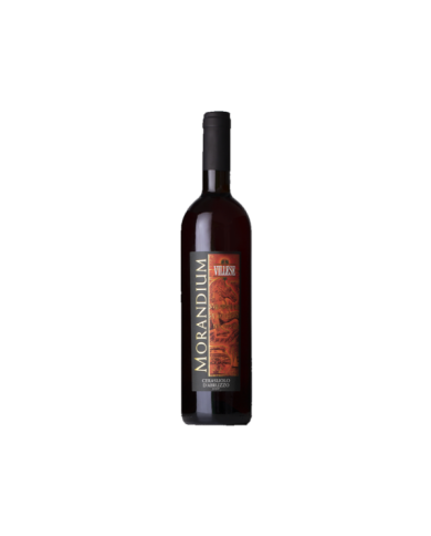 Rosé-Weine  Morandium Cerasuolo D’Abruzzo D.O.C. 2023 - Villese 5,33 € Rosé-Weine  Morandium Cerasuolo D’Abruzzo D.O.C. 2023 - Villese 5,33 €