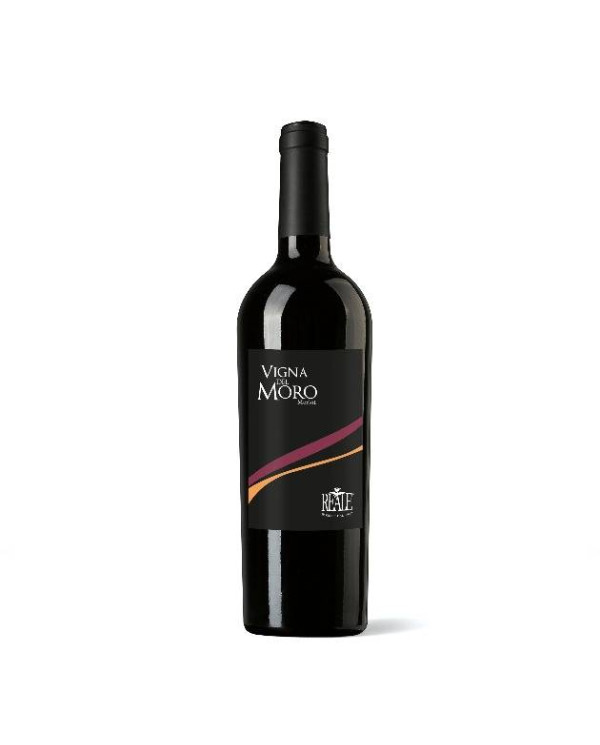 Rode wijnen  Vigna del Moro Merlot Alto Mincio IGT 2023 – Cantina Reale 12,46 â‚¬ Rode wijnen  Vigna del Moro Merlot Alto Mincio IGT 2023 – Cantina Reale 12,46 â‚¬