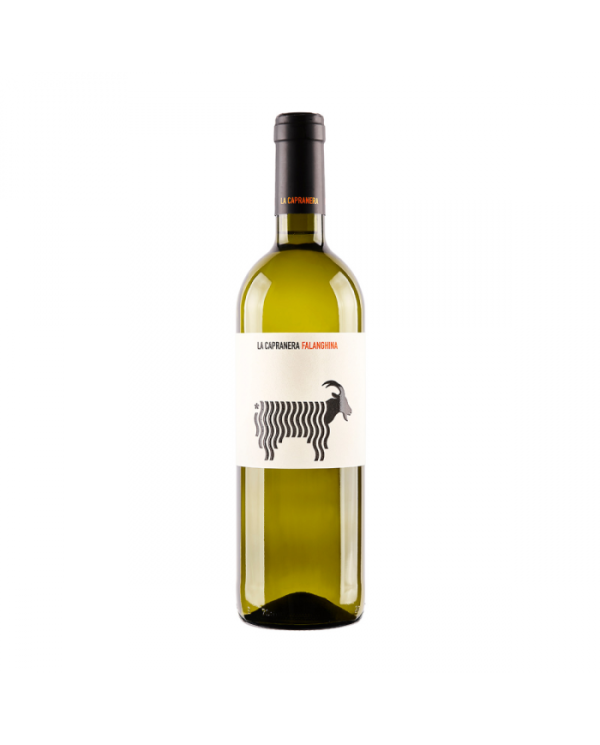 Vini Bianchi  Falanghina Campania IGP 2021 La Capranera - San Salvatore 1988 9,20 â‚¬ Vini Bianchi  Falanghina Campania IGP 2021 La Capranera - San Salvatore 1988 9,20 â‚¬