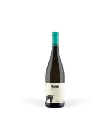 Vini Bianchi  Palinure Paestum Bianco IGP 2022 - San Salvatore 1988 14,30 € Vini Bianchi  Palinure Paestum Bianco IGP 2022 - San Salvatore 1988 14,30 €