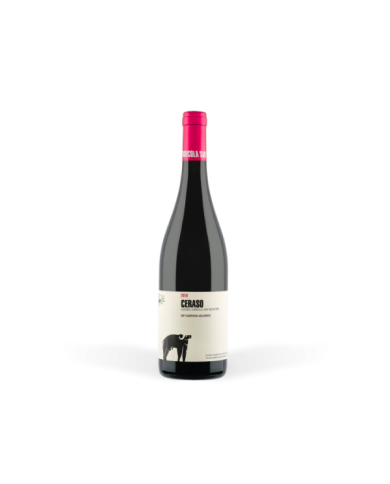 Red Wines  Ceraso Paestum Aglianico IGP magnum 2021 - San Salvatore 1988 28,00 € Red Wines  Ceraso Paestum Aglianico IGP magnum 2021 - San Salvatore 1988 28,00 €