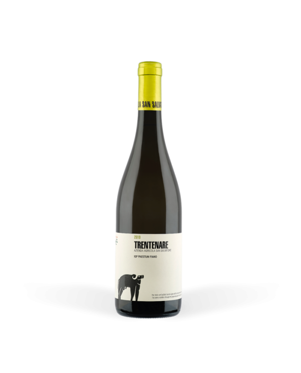 White wines  Trentenare Paestum Fiano IGP 2021 - San Salvatore 1988 17,00 €