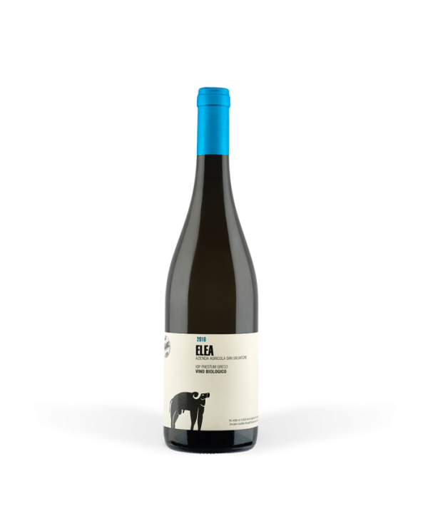 White wines  Elea Paestum Greco Igp 2022 - San Salvatore 1988 28,23 €