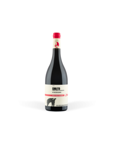 Red Wines  Corleto Paestum Aglianico IGP 2021 - San Salvatore 1988 19,80 € Red Wines  Corleto Paestum Aglianico IGP 2021 - San Salvatore 1988 19,80 €