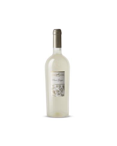 Witte Wijnen  ULISSE Pinot Grigio Terre di Chieti IGP 2023 Premium - Tenuta Ulisse 12,79&nbsp;€