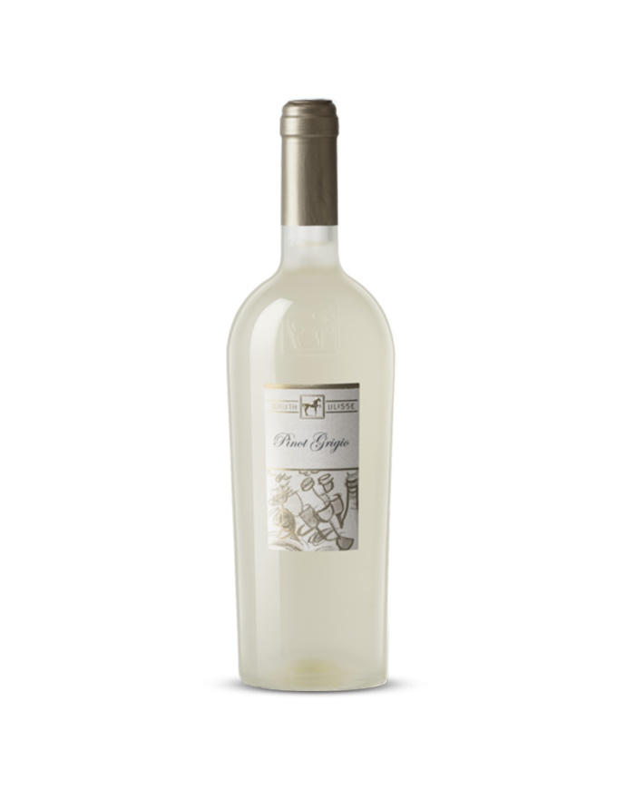 Vini Bianchi  ULISSE Pinot Grigio Terre di Chieti IGP 2023 Premium - Tenuta Ulisse 12,79 €
