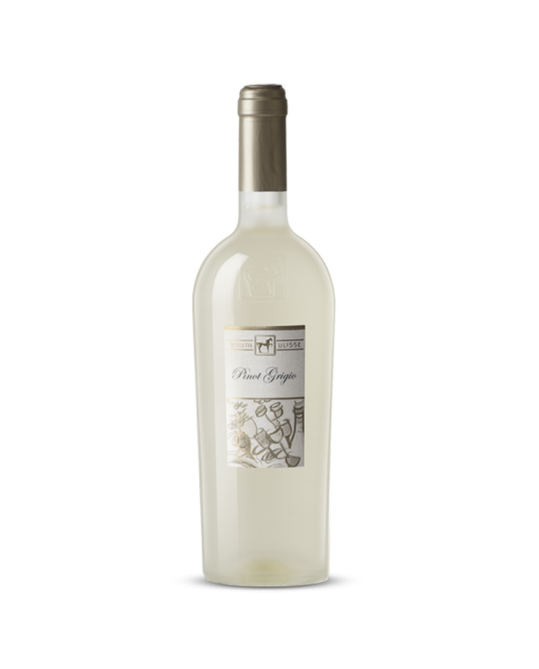 White wines  ULISSE Pinot Grigio Terre di Chieti IGP 2023 Premium - Tenuta Ulisse 12,79 â‚¬ White wines  ULISSE Pinot Grigio Terre di Chieti IGP 2023 Premium - Tenuta Ulisse 12,79 â‚¬