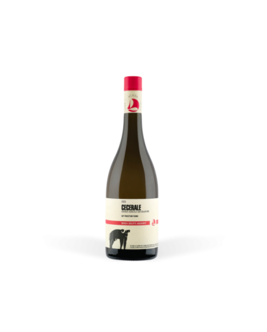 Vini Bianchi  Cecerale Paestum Fiano IGP 2021 - San Salvatore 1988 20,40 € Vini Bianchi  Cecerale Paestum Fiano IGP 2021 - San Salvatore 1988 20,40 €