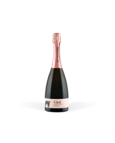 Vini Spumanti  Gioi' Brut Rosè millesimato 2020 - San Salvatore 1988 28,24 € Vini Spumanti  Gioi' Brut Rosè millesimato 2020 - San Salvatore 1988 28,24 €