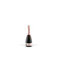 Vini Spumanti  Gioi' Brut Rosè millesimato 2020 - San Salvatore 1988 28,24 €