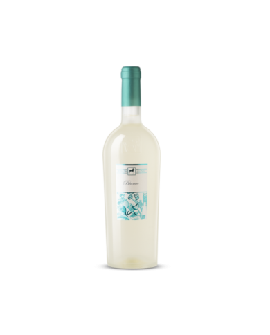 Vini Bianchi  ULISSE Bianco Terre di Chieti Premium 2024 - Tenuta Ulisse 12,79&nbsp;€