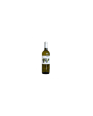 White wines  Fiano Campania IGP 2023 Porconero - San Salvatore 1988 11,07 €