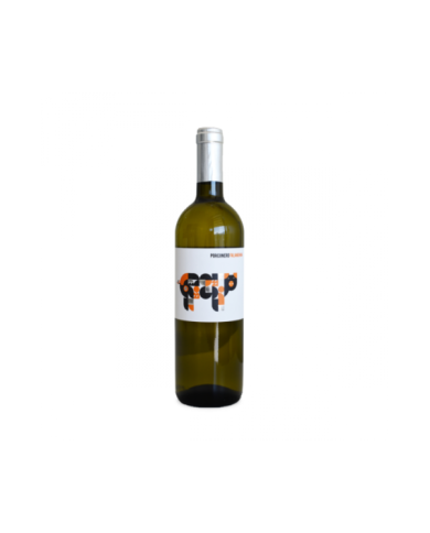 White wines  Falanghina Campania IGP 2023 Porconero - San Salvatore 1988 9,06 €
