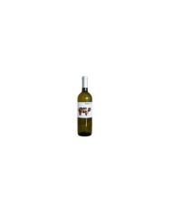 White wines  Falanghina Campania IGP 2023 Porconero - San Salvatore 1988 9,06 €