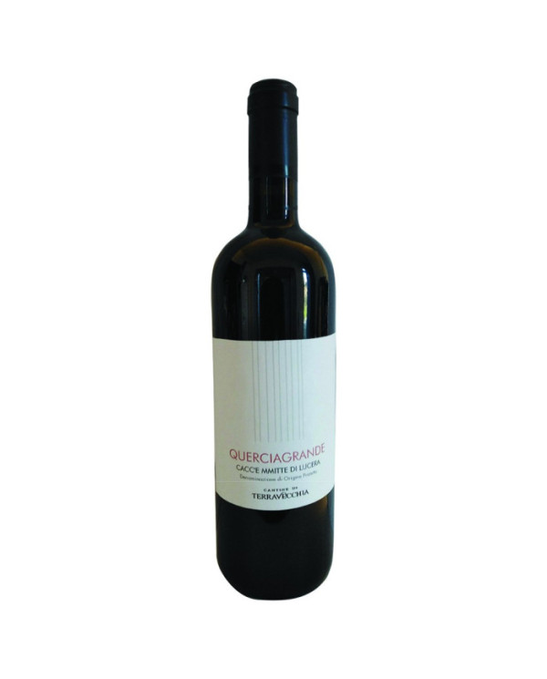 Vini Rossi  Querciagrande Cacc’è Mit DOP 2019 - Cantine di TerraVecchia 7,60 â‚¬ Vini Rossi  Querciagrande Cacc’è Mit DOP 2019 - Cantine di TerraVecchia 7,60 â‚¬