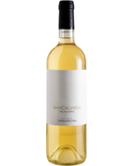 White wines  Biancalunga Falanghina Puglia Bianco Igp Biologico 2021 - Cantine di TerraVecchia 7,60 â‚¬ White wines  Biancalunga Falanghina Puglia Bianco Igp Biologico 2021 - Cantine di TerraVecchia 7,60 â‚¬