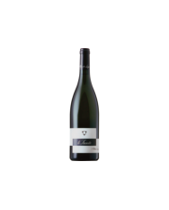 White wines  Le Fossette Falanghina Puglia IGT 2021 - Alberto Longo 11,90 €
