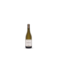 Witte Wijnen  NATIVAE Abruzzo Pecorino DOP 2015 - Tenuta Ulisse 15,60 €