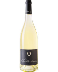 Vini Bianchi  Il Vascello Falanghina Igp 2021 - Alberto Longo 14,10 â‚¬ Vini Bianchi  Il Vascello Falanghina Igp 2021 - Alberto Longo 14,10 â‚¬