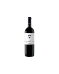 Red Wines  Capoposto Puglia IGP 2021 - Alberto Longo 8,60 €