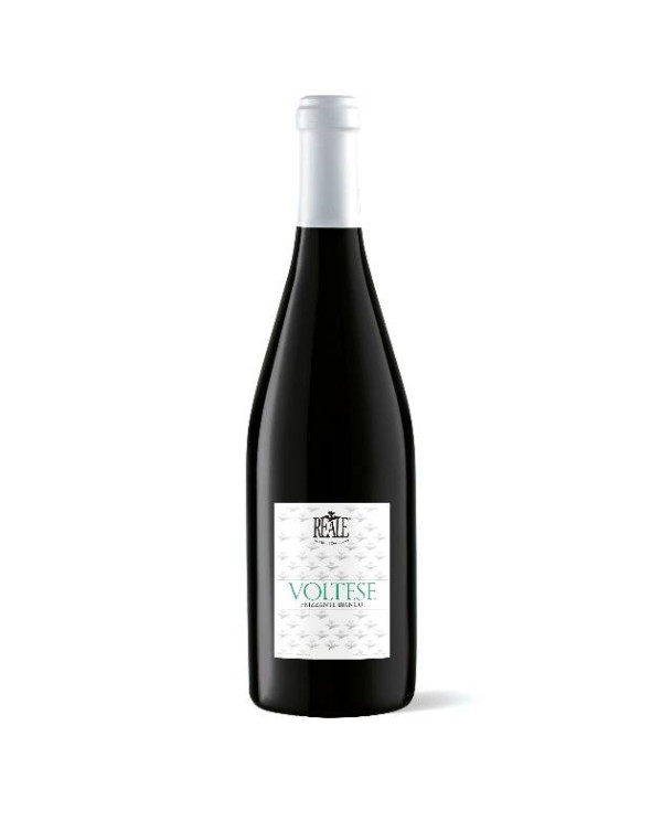 Witte Wijnen Voltese frizzante I.G.T. – Cantina Reale 8,26 € Witte Wijnen Voltese frizzante I.G.T. – Cantina Reale 8,26 €