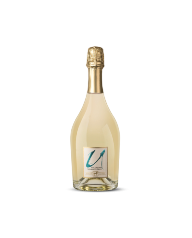 White wines  ULISSE Unico Pecorino Brut - Tenuta Ulisse 9,88 € White wines  ULISSE Unico Pecorino Brut - Tenuta Ulisse 9,88 €
