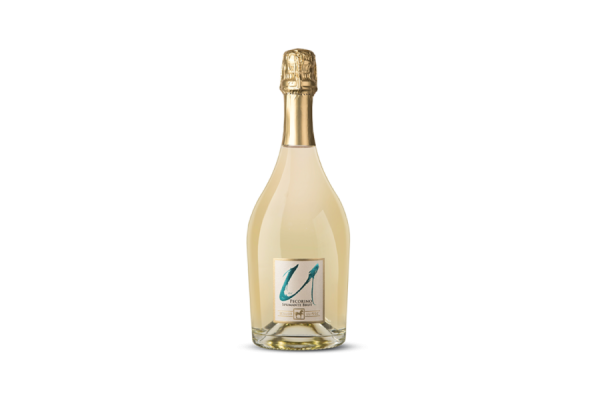 Vini Bianchi  ULISSE Unico Pecorino Brut - Tenuta Ulisse 9,88&nbsp;€