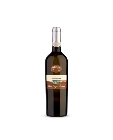 Vini Bianchi  Pinot Grigio Ramato Venezia D.O.C Selezione Terre Piane - Ornella Bellia 10,69 €
