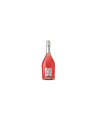 Rosé Wines  ULISSE Merlot Rosè Brut - Tenuta Ulisse 9,88 â‚¬ Rosé Wines  ULISSE Merlot Rosè Brut - Tenuta Ulisse 9,88 â‚¬