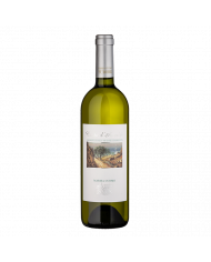 Vini Bianchi  Costa d’Amalfi Bianco DOC 2022 - Marisa Cuomo 19,80 € Vini Bianchi  Costa d’Amalfi Bianco DOC 2022 - Marisa Cuomo 19,80 €