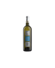 Witte Wijnen  Gavi di Gavi DOCG 2021 - Monchiero Carbone 11,60 €