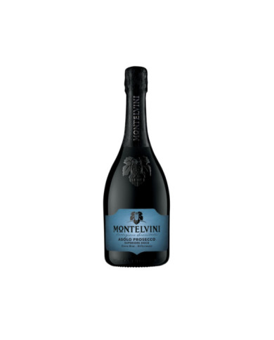 Schaumweine  Asolo Prosecco Superiore DOCG Extra Brut millesimato Collezione Serenitatis - Montelvini 14,13 € Schaumweine  Asolo Prosecco Superiore DOCG Extra Brut millesimato Collezione Serenitatis - Montelvini 14,13 €