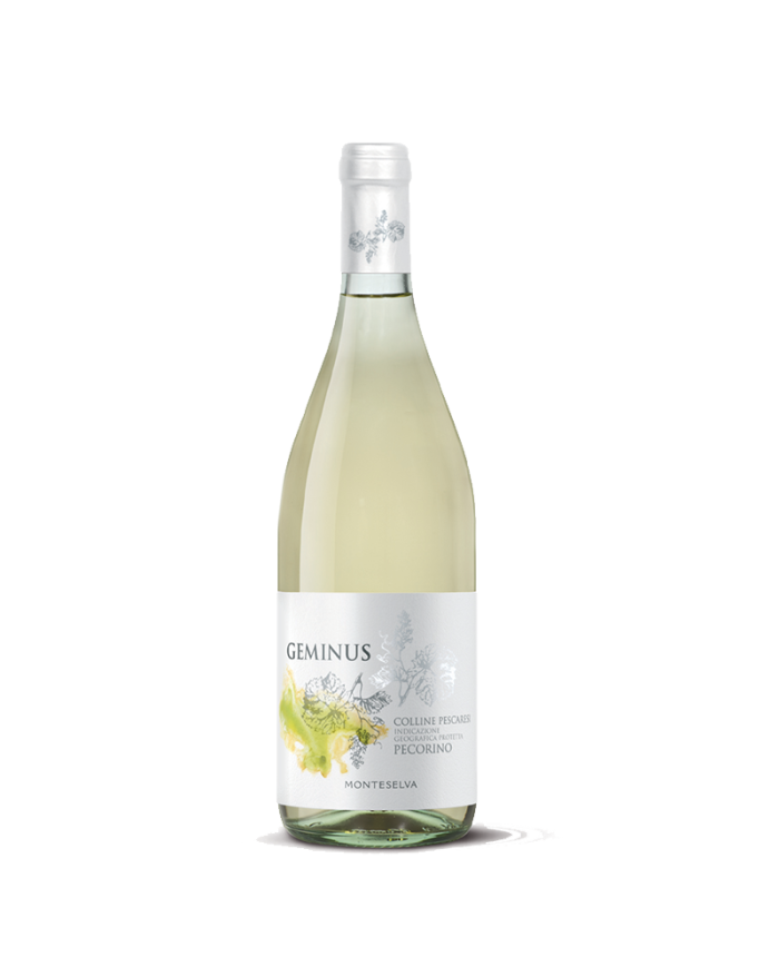 Witte Wijnen  Pecorino Colline Pescaresi IGP 2020 Linea Geminus - Monteselva 6,76 â‚¬ Witte Wijnen  Pecorino Colline Pescaresi IGP 2020 Linea Geminus - Monteselva 6,76 â‚¬