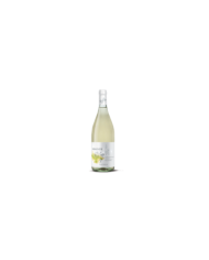 Witte Wijnen  Pecorino Colline Pescaresi IGP 2020 Linea Geminus - Monteselva 6,76 â‚¬ Witte Wijnen  Pecorino Colline Pescaresi IGP 2020 Linea Geminus - Monteselva 6,76 â‚¬