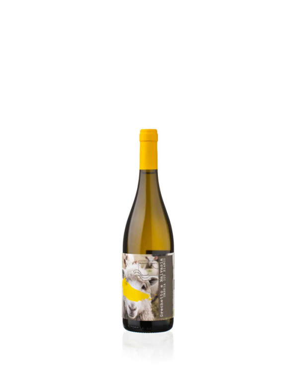 Witte Wijnen  Grechetto e Malvasia IGT Umbria Bio 2023 - Moretti Omero 10,66 â‚¬ Witte Wijnen  Grechetto e Malvasia IGT Umbria Bio 2023 - Moretti Omero 10,66 â‚¬