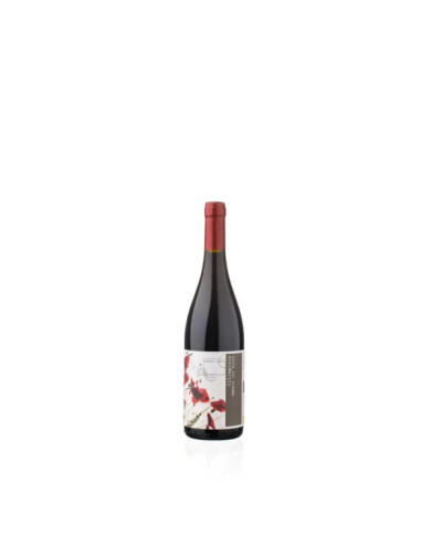 Vini Rossi  Ciliegiolo IGT Umbria Bio 2022 - Moretti Omero 9,24 € Vini Rossi  Ciliegiolo IGT Umbria Bio 2022 - Moretti Omero 9,24 €