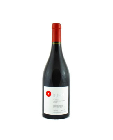 Red Wines  Kurni Rosso Marche IGT doppio magnum 2020 - Oasi degli Angeli 432,00 € Red Wines  Kurni Rosso Marche IGT doppio magnum 2020 - Oasi degli Angeli 432,00 €