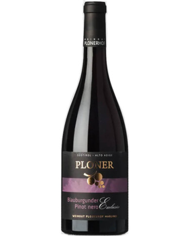Red Wines  Pinot Nero Exclusive Riserva Doc 2018 - Ploner 33,20 € Red Wines  Pinot Nero Exclusive Riserva Doc 2018 - Ploner 33,20 €