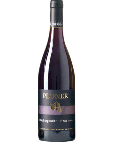 Red Wines  Pinot Nero Doc Magnum 2020 - Ploner 41,50 € Red Wines  Pinot Nero Doc Magnum 2020 - Ploner 41,50 €