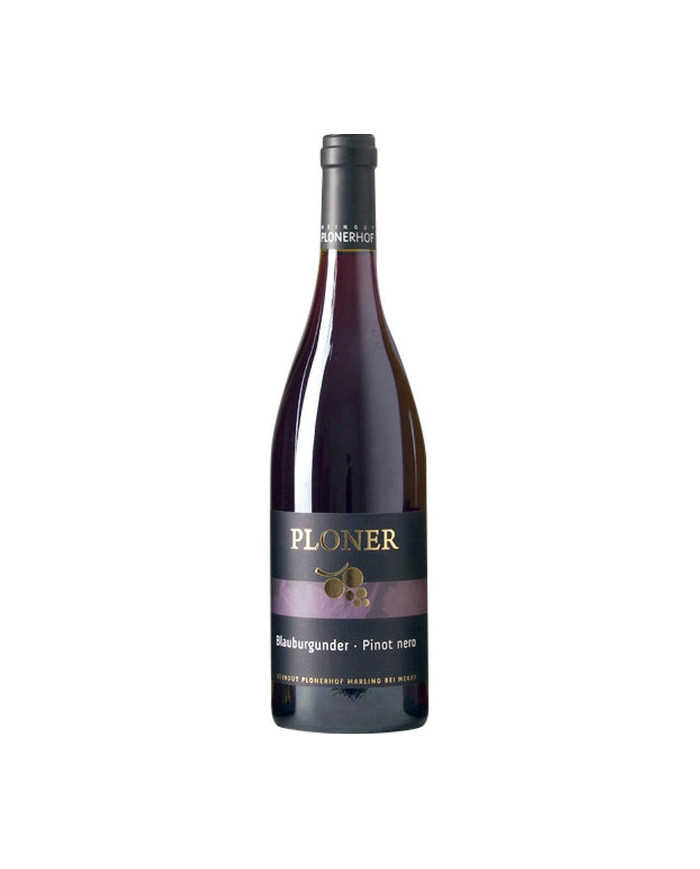 Red Wines  Pinot Nero Doc Magnum 2020 - Ploner 41,50 â‚¬ Red Wines  Pinot Nero Doc Magnum 2020 - Ploner 41,50 â‚¬